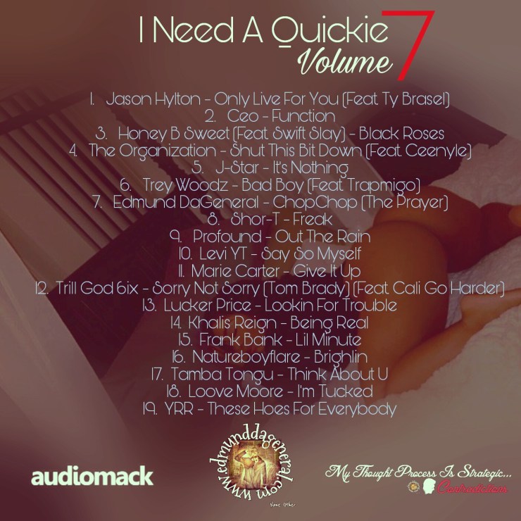 ineedaquickievol7dinalcover