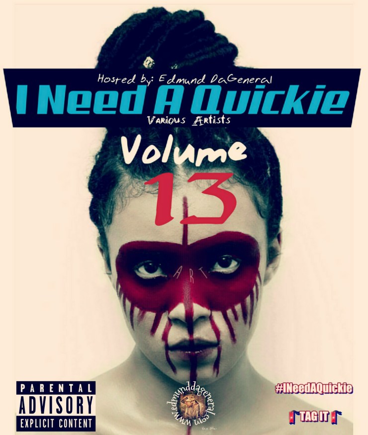 I Need A Quickie Volume 13