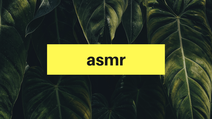 news with edmund dageneral (5)