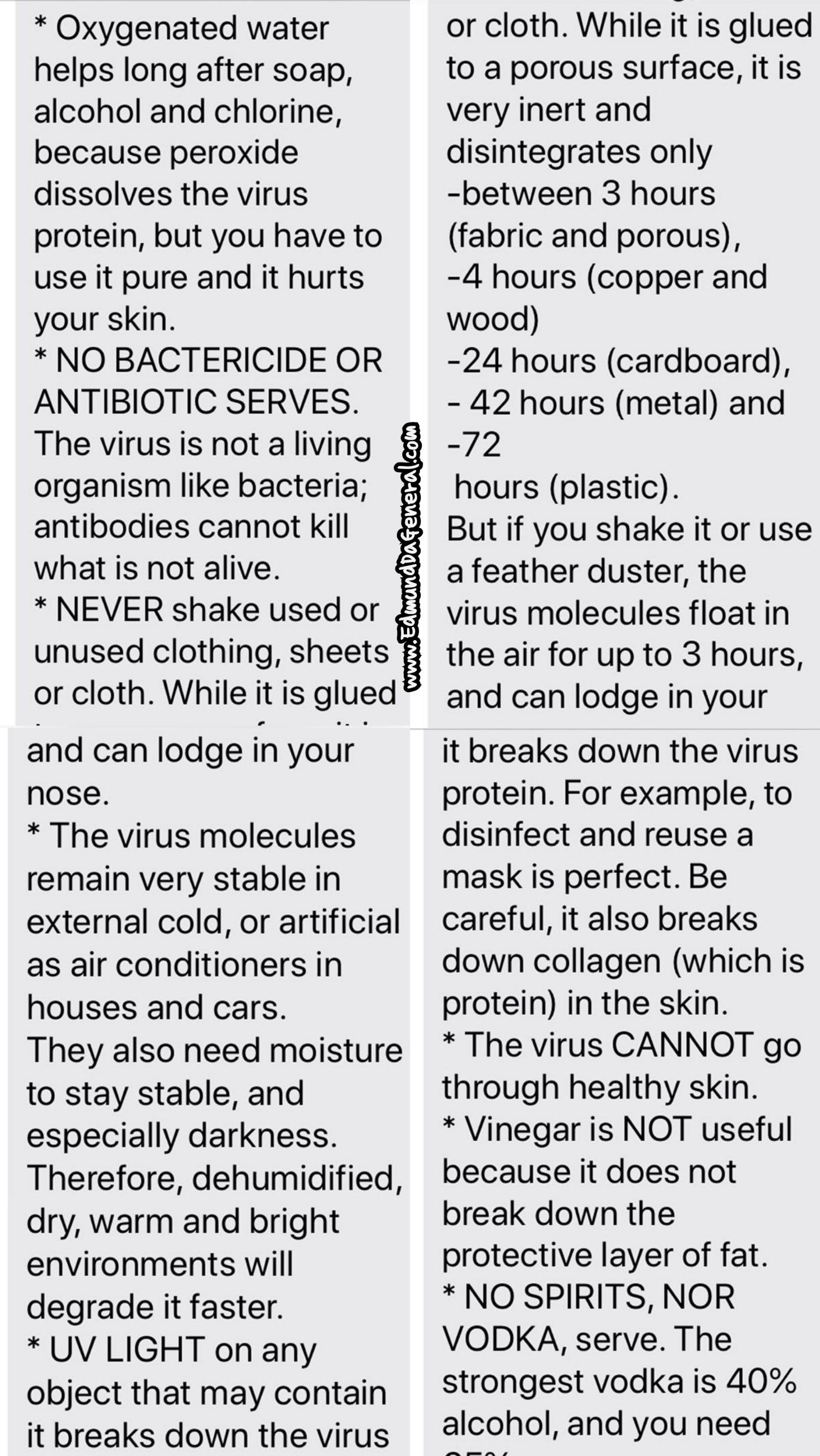 edmund dageneral vs viruses 35374418909272195914..jpg