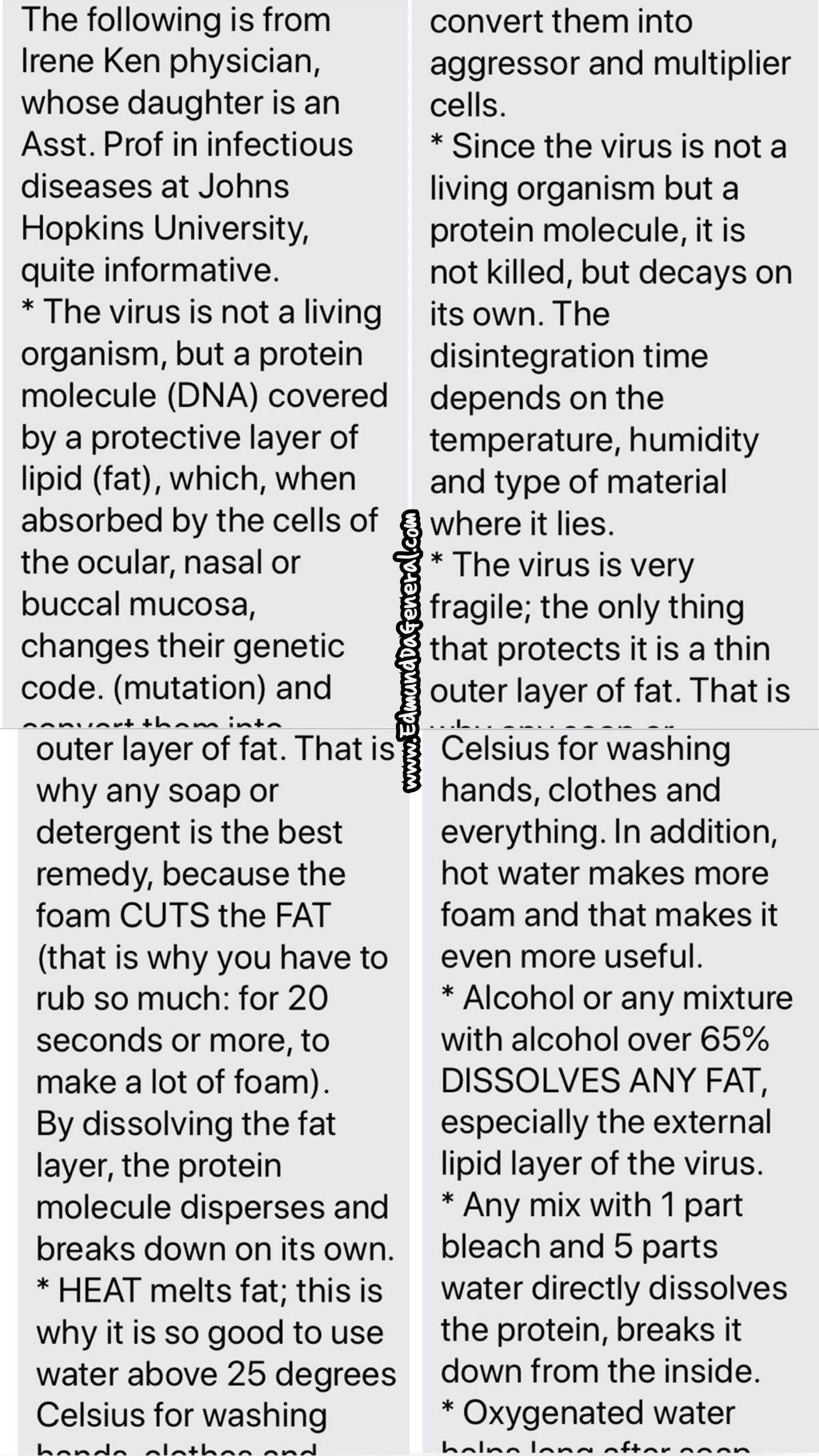 edmund dageneral vs viruses25483388774598587516..jpg